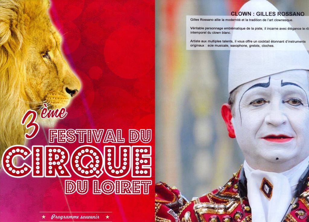 Festival du cirque du Loiret  2015